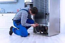 Professional refrigerator repair technician fixing compressor and coils.